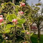 Ferienhaus Unter den Eschen 펜션